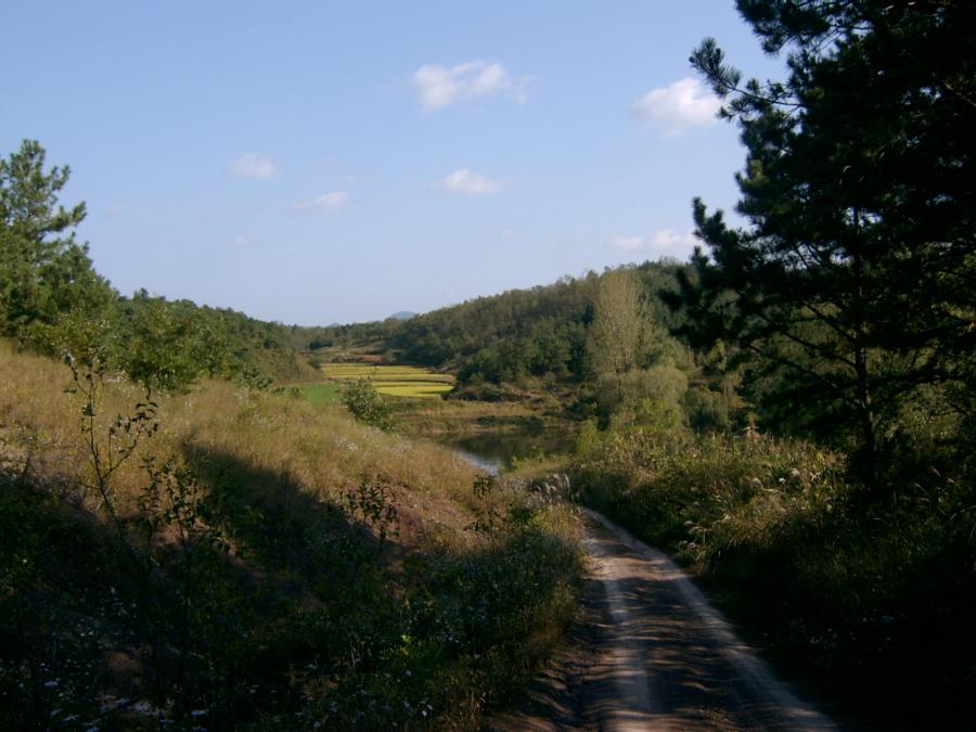 SV400005.JPG