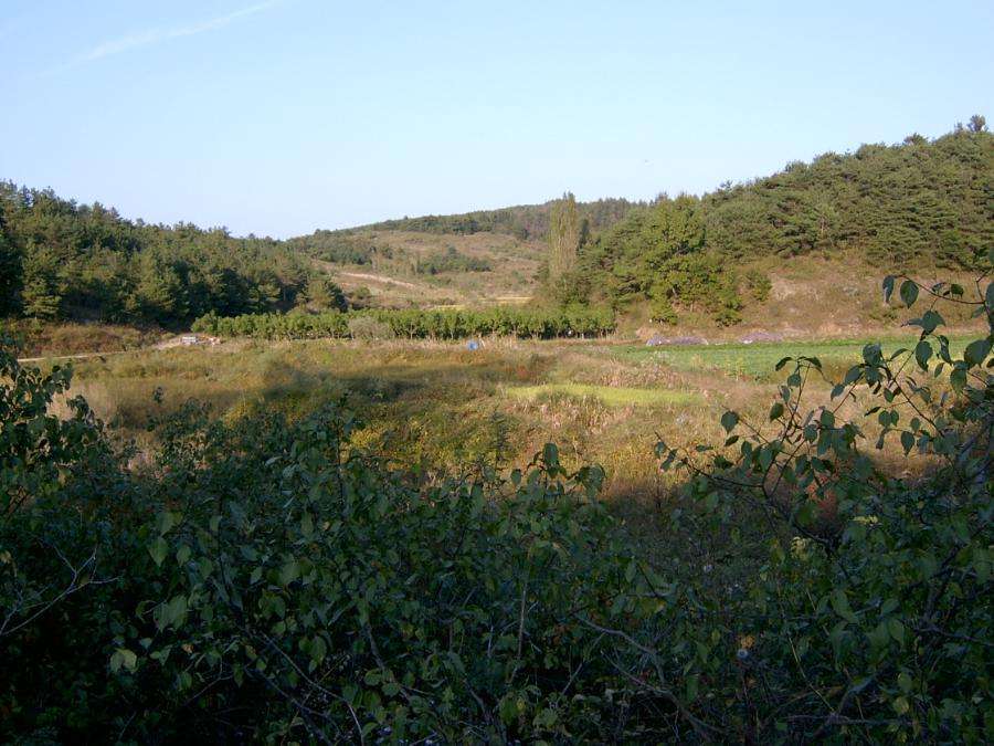 SV400017.JPG