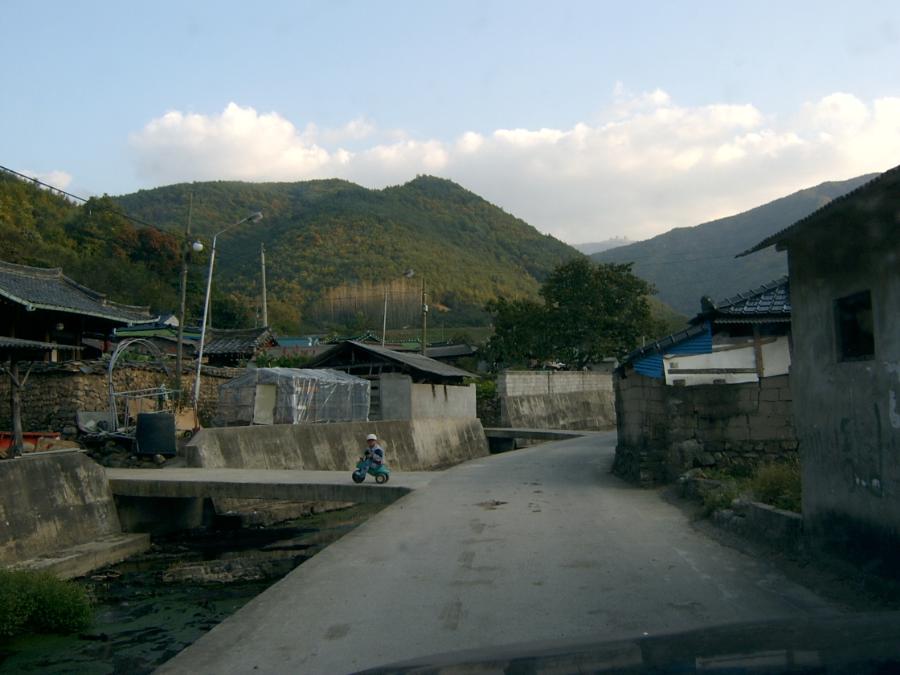 SV400007.JPG
