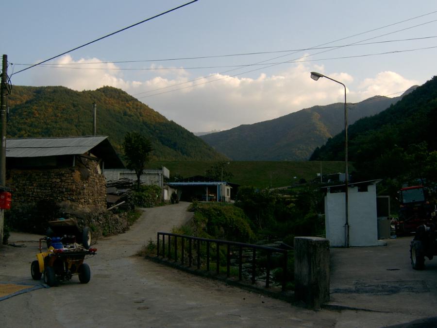 SV400010.JPG