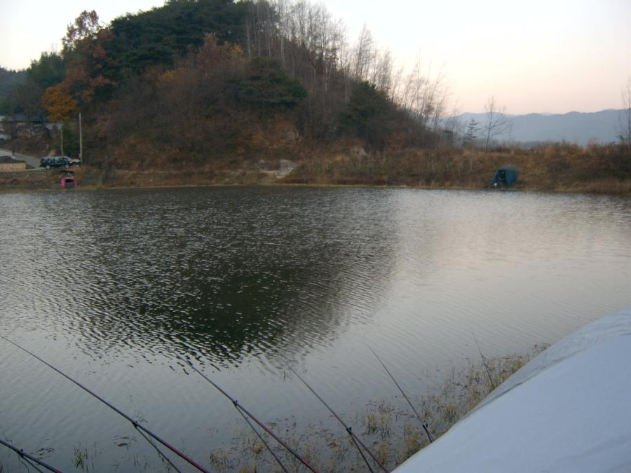 SV400028.JPG