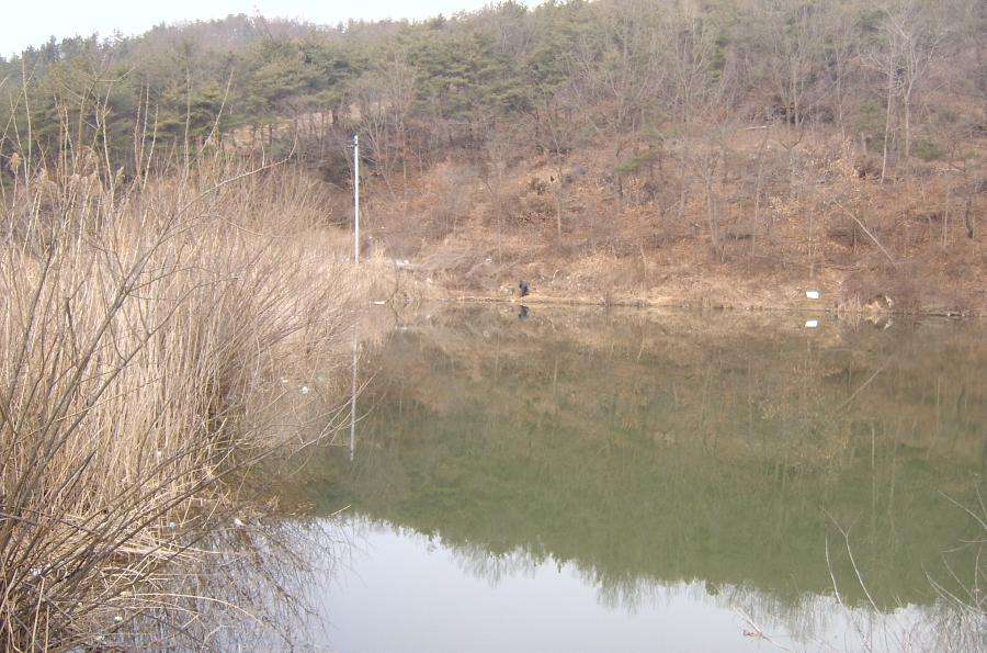 SV400003.JPG