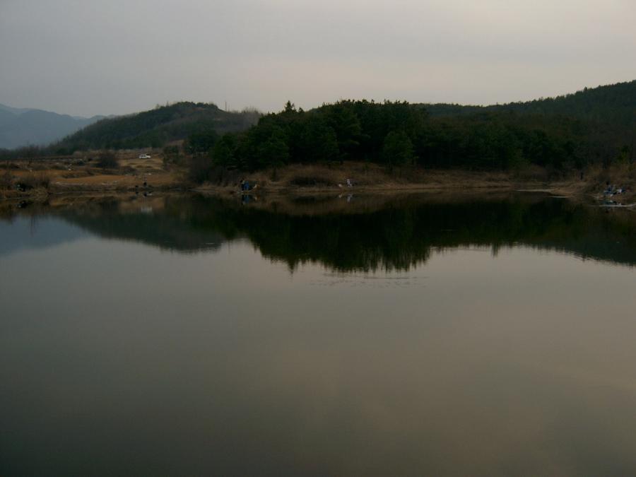 SV400029_Resized.JPG