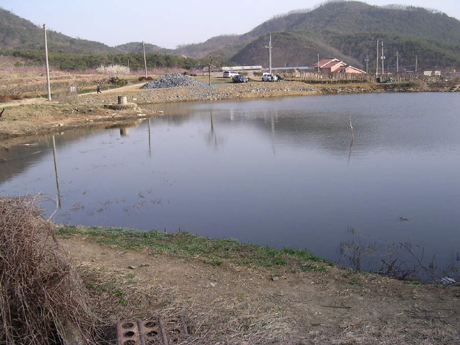 a01.jpg