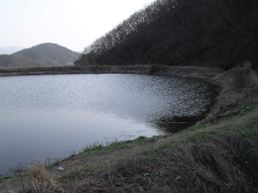 a02.jpg
