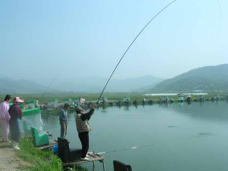 Dscn1160.jpg