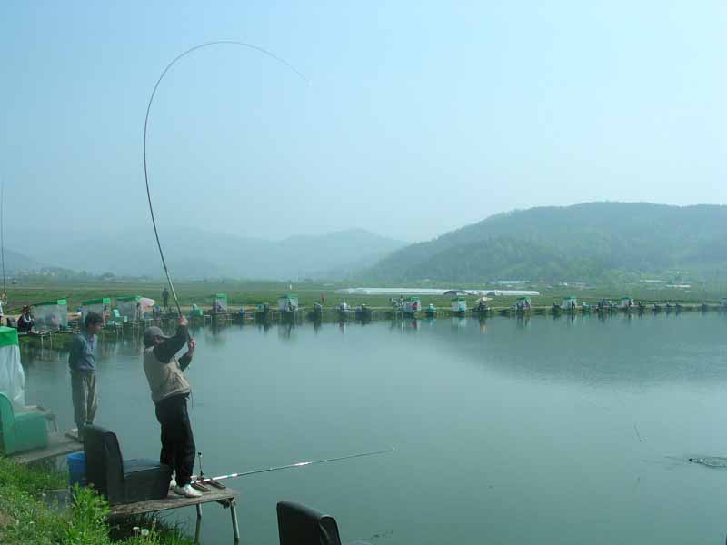 Dscn1164.jpg