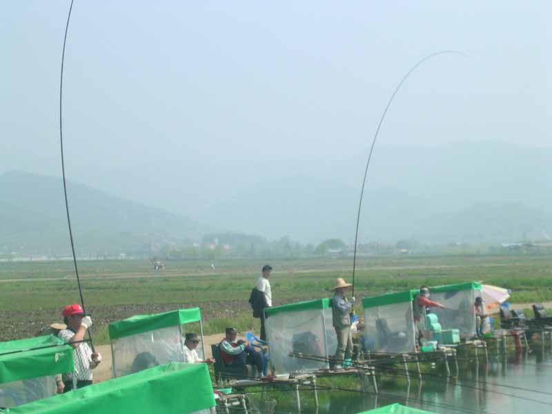 Dscn1173.jpg