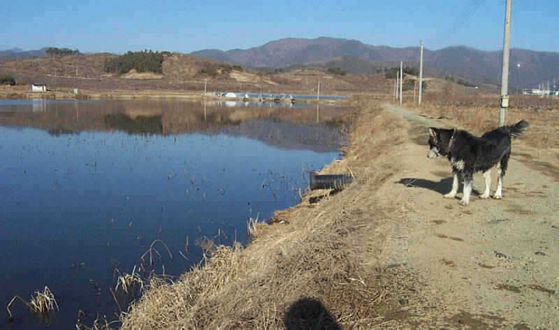 DCP_0293.jpg
