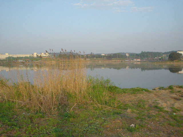 DSC00445.JPG