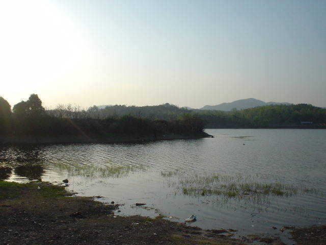 DSC00449.JPG
