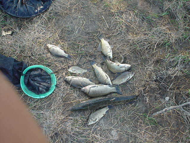 DSC00457.JPG