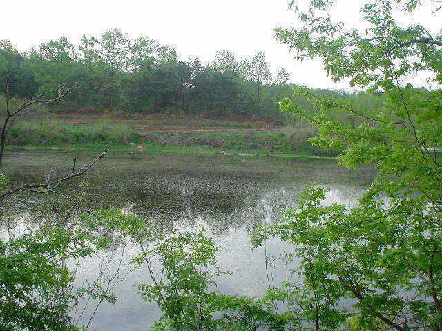 DSC00461.JPG