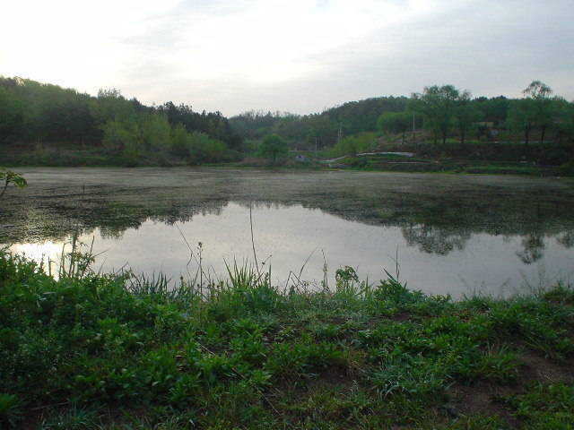 DSC00462.JPG