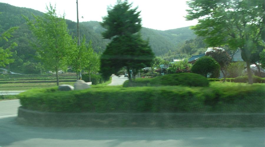 5743.jpg