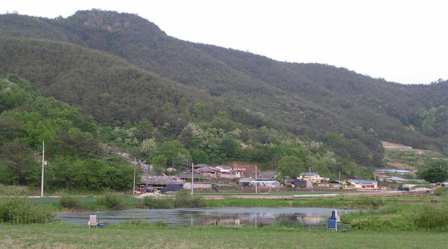 5767.jpg