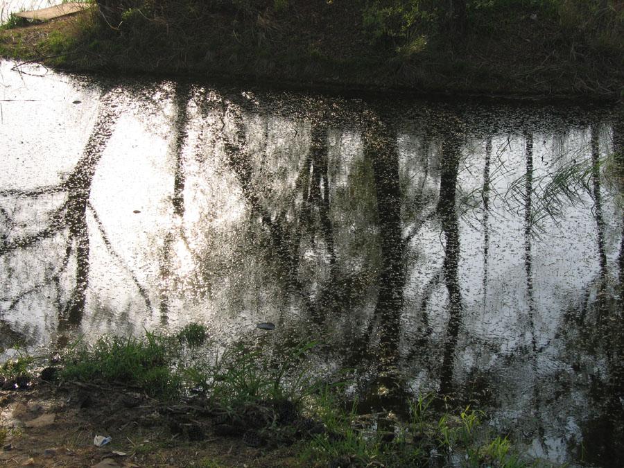 IMG_0647.jpg