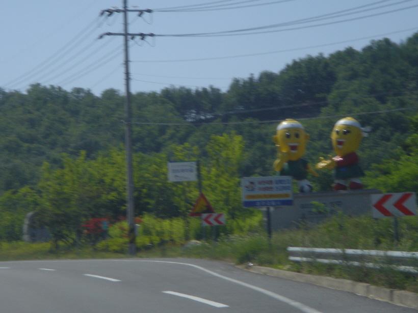 11.JPG