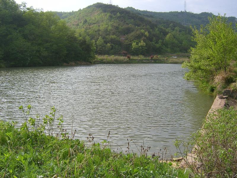SA500223-14.JPG
