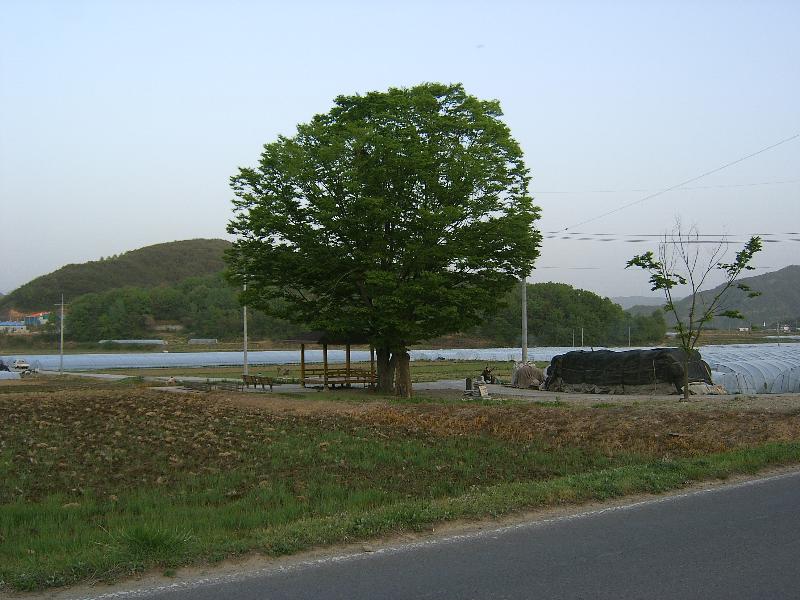 SA500240-14.JPG
