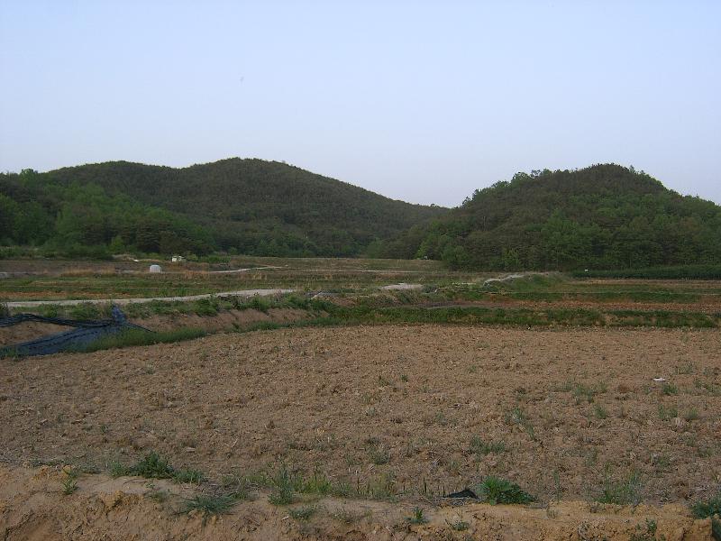 SA500242-14.JPG