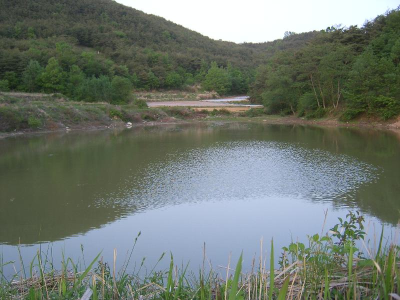 SA500245-14.JPG