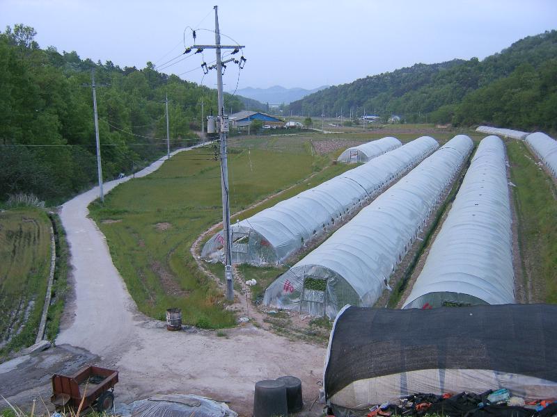 SA500294-14.JPG
