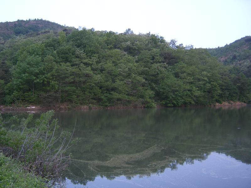 SA500298-14.JPG