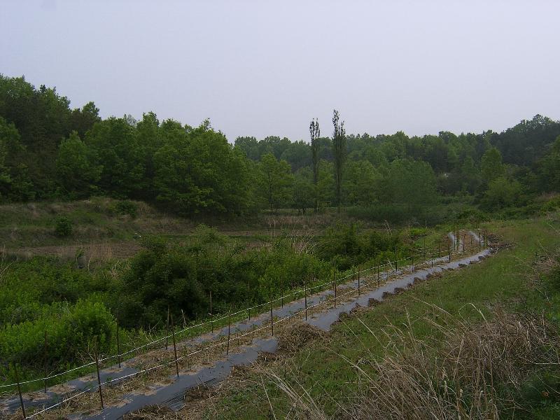 SA500388-15.JPG