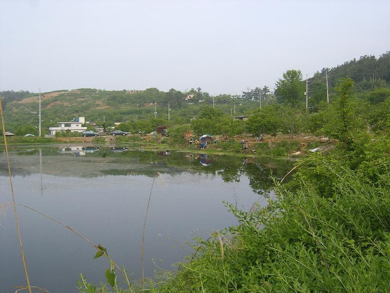 SA500434-16.JPG