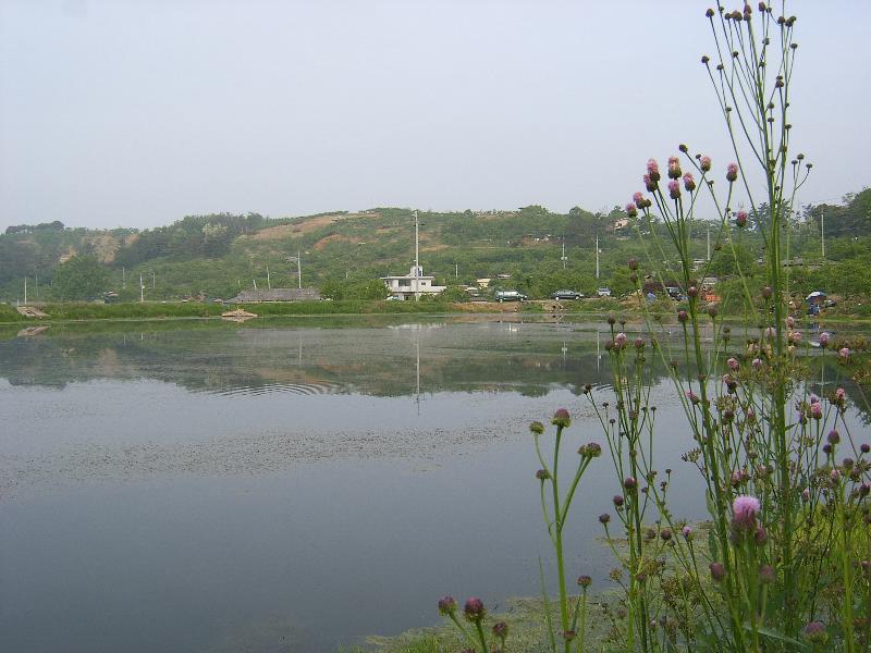 SA500436-16.JPG