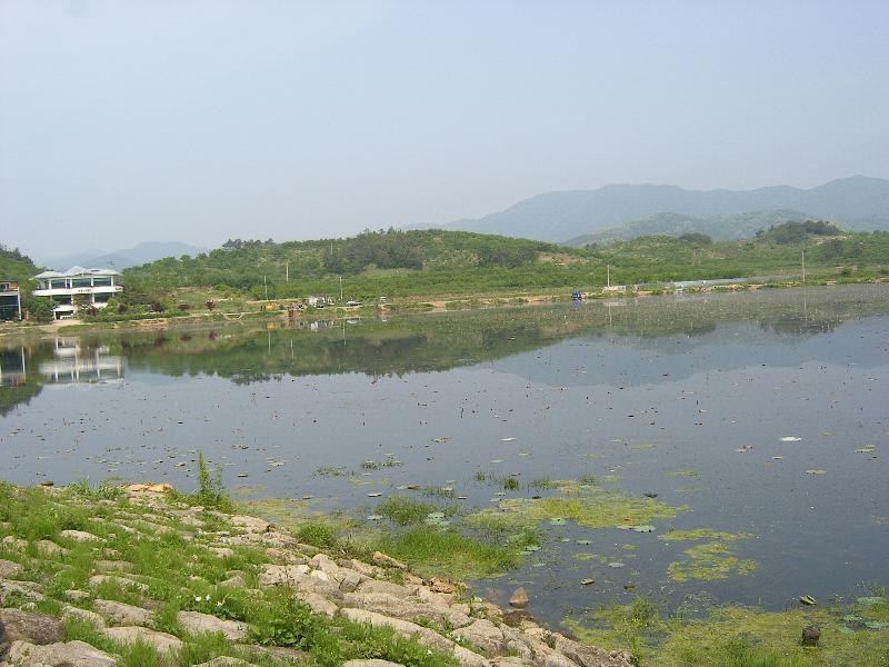 SA500470-16.JPG