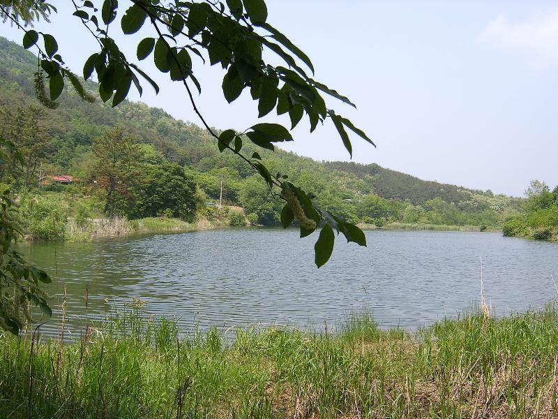 SA500546-16.JPG