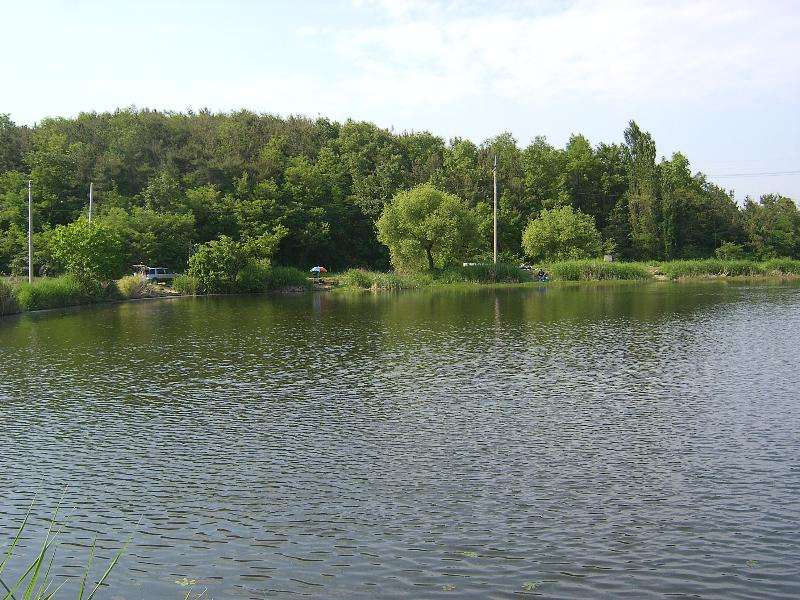 SA500644-17.JPG