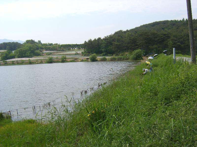 SA500645-17.JPG