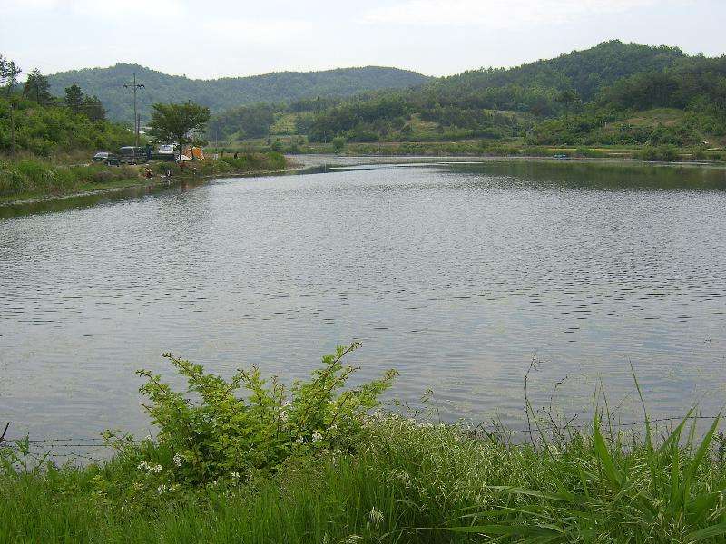 SA500651-17.JPG