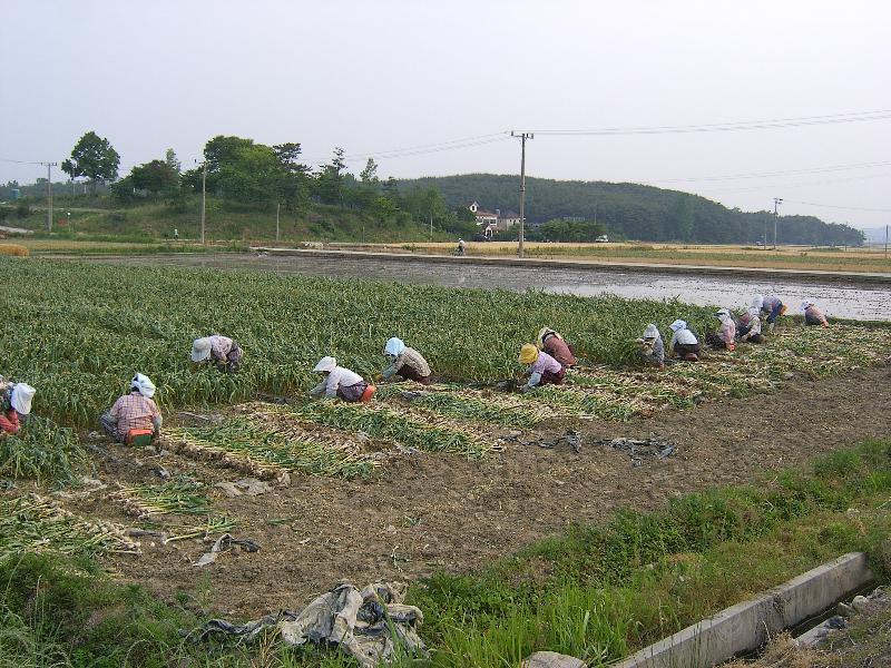SA500304-18.JPG