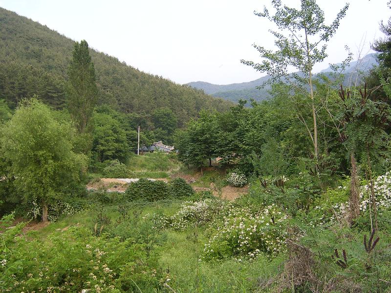SA500309-18.JPG