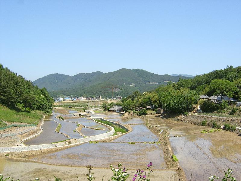 SA500365-18.JPG