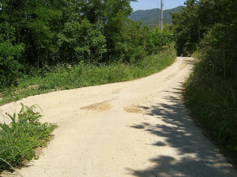 SA500367-18.JPG