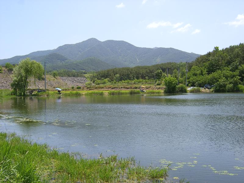 SA500444-19.JPG