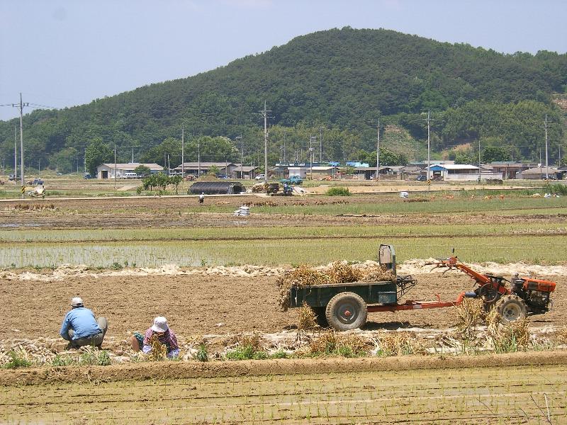 SA500448-19.JPG