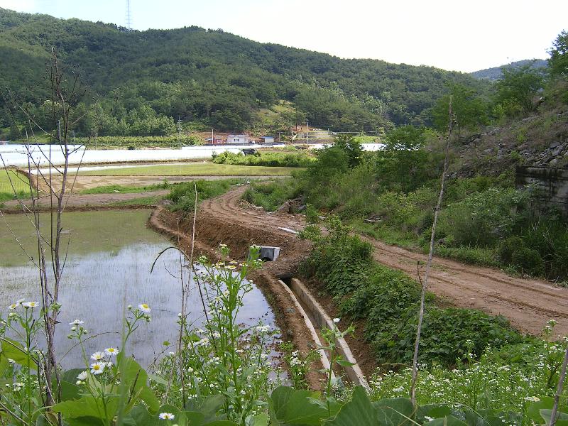 SA500534-20.JPG