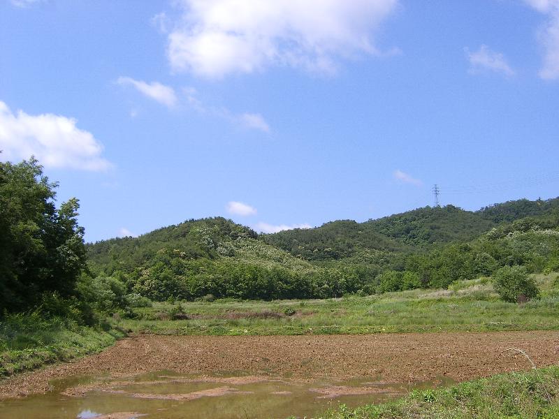 SA500561-20.JPG