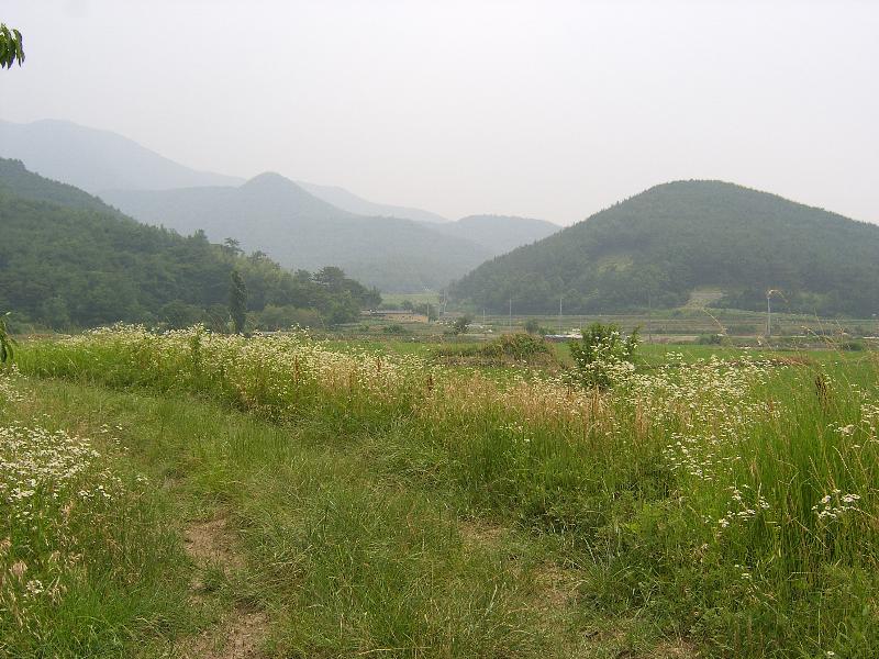SA500808-22.JPG