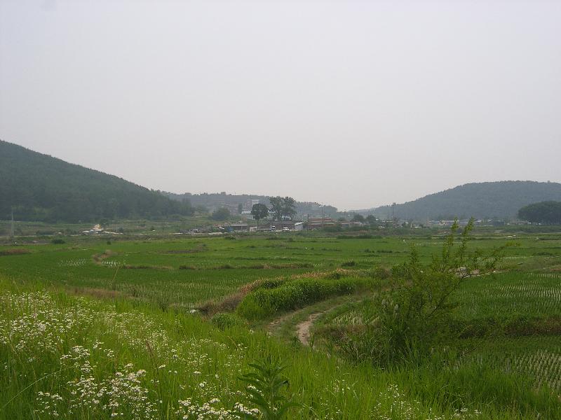SA500810-22.JPG