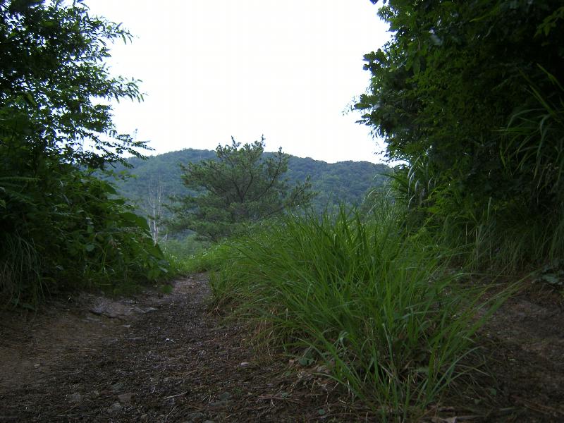 SA500776-23.JPG