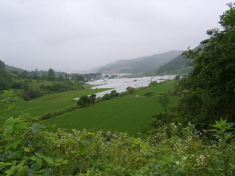 SA500804-24.JPG