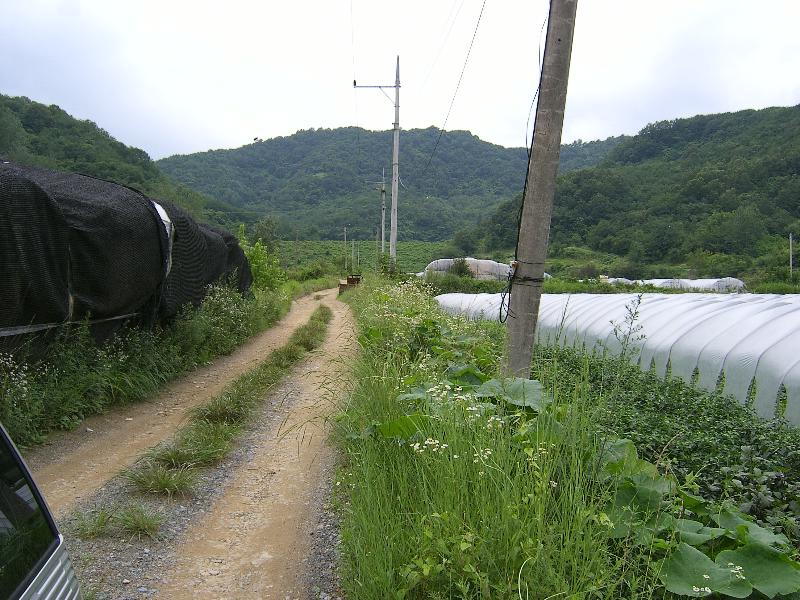 SA500892-24.JPG