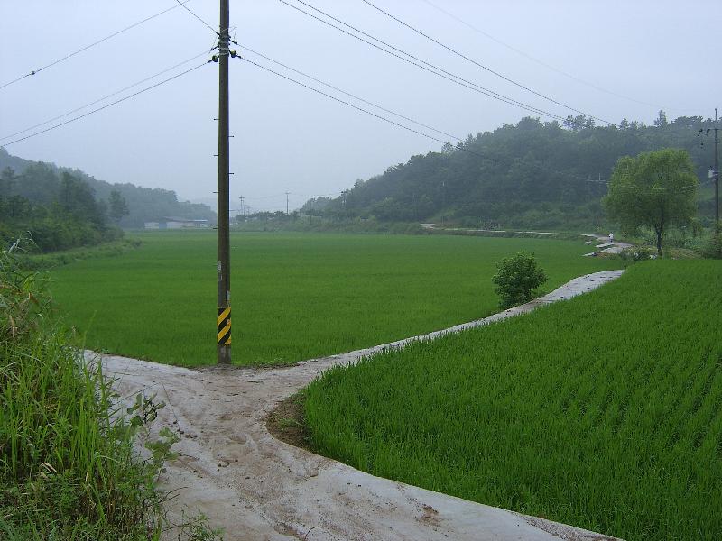 SA500936-25.JPG